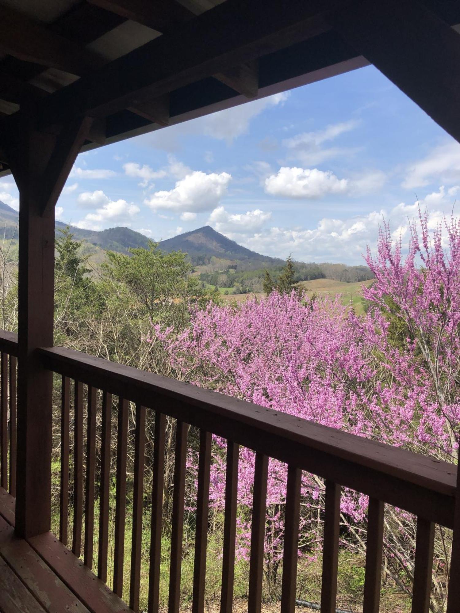 Bear Country Cabin Sevierville Dış mekan fotoğraf